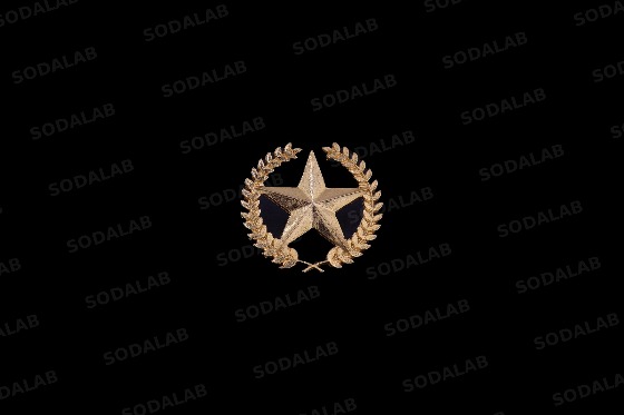 월계수 큰별 입체뱃지