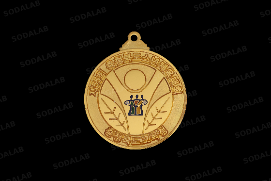 충청북도 소년체육대회 메달